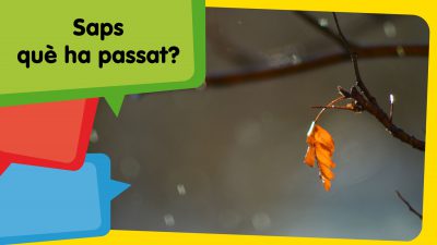 El temps és ben boig… o no?