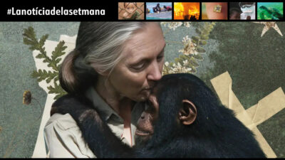 Jane Goodall i “els àngels de Leakey”