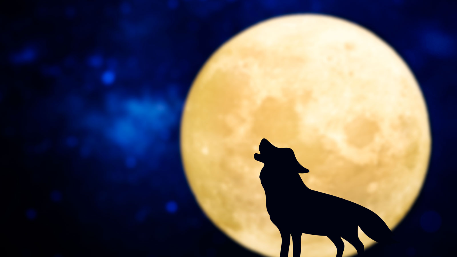 Howling wolf silhouette over a full moon