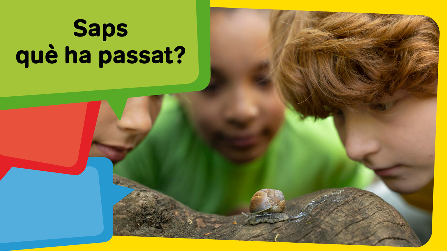 Celebrem la biodiversitat!